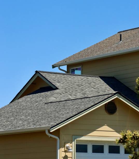 Best Solar Panel Roofing Installation  in Selmer, TN